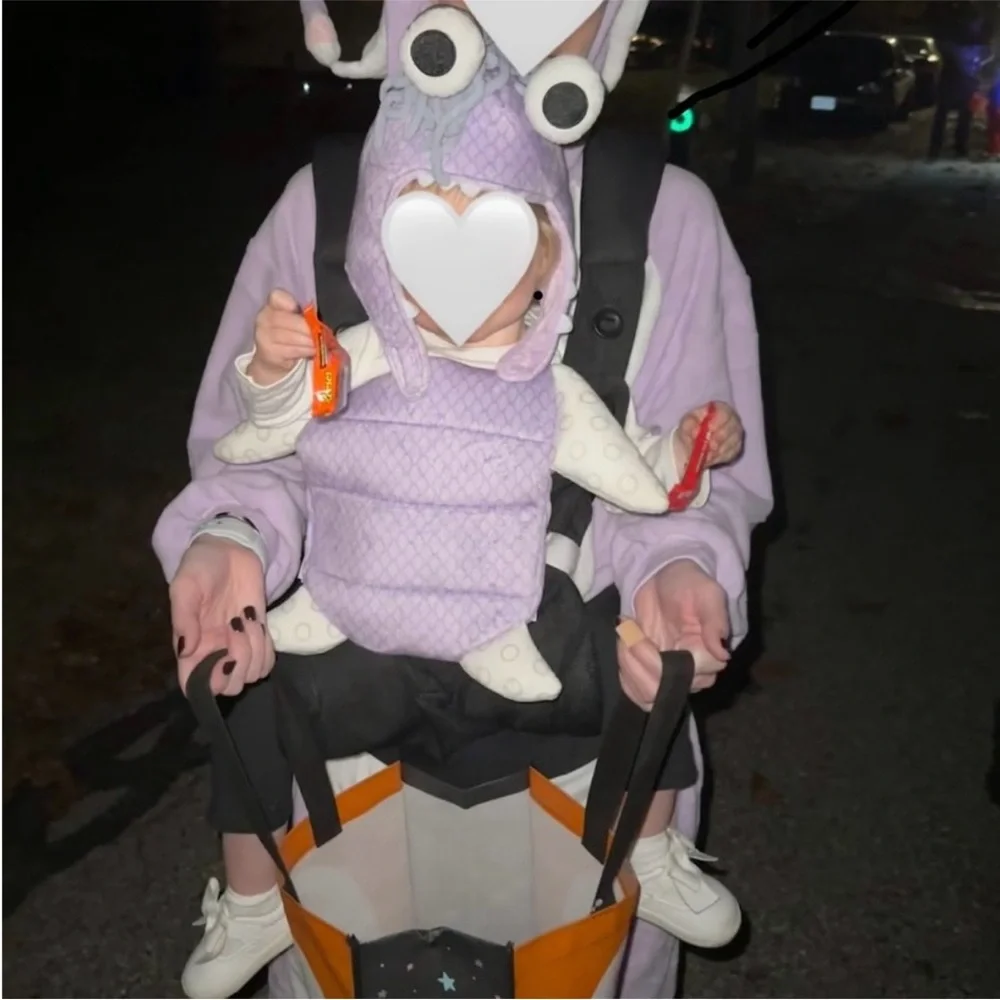 Baby Halloween Costume Boo Baby Monsters Inc Carrier Cover 0-24 Months RARE